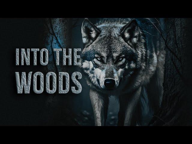 Nicola Milan - Into the Woods | Dark Poetry (ASMR)