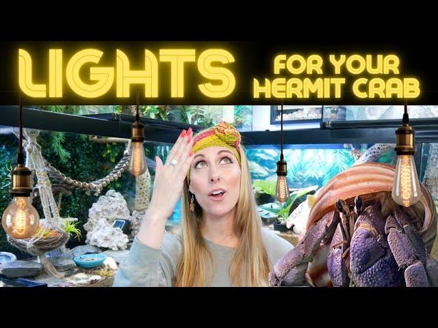 Hermit Crab Lights to use in your tank! | By Crab Central Station