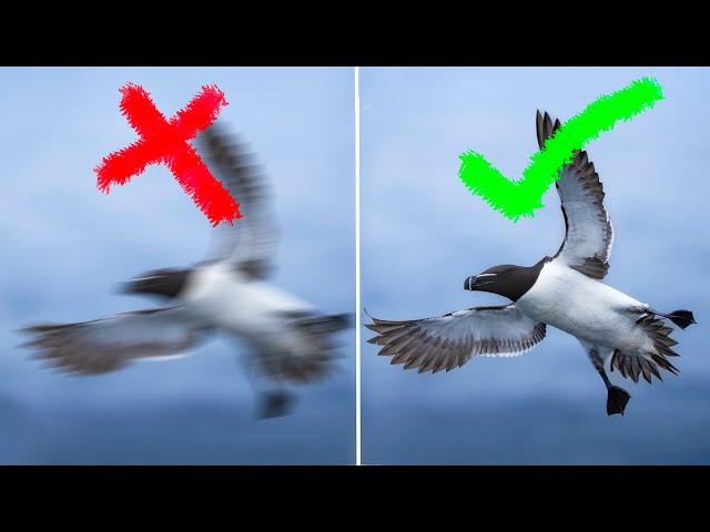 HOW TO PICK THE RIGHT SHUTTER SPEED!