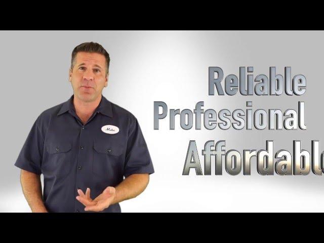 Sydney's Best Pest Control - 2000 NSW - 1800819189