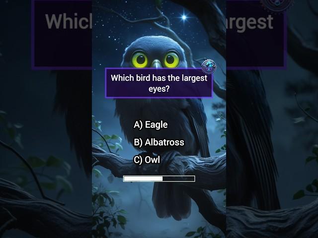 5 Wild Animal Quiz Questions You Probably Can't Answer #animalkingdom #wildlifetrivia #animalfacts