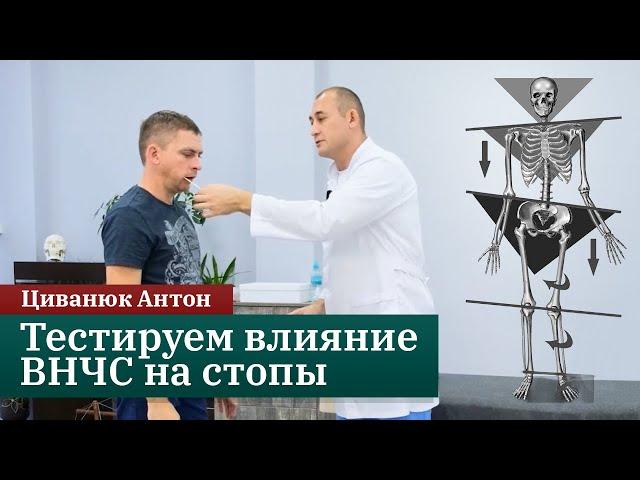 Тест Армстронга со шпателем. Влияние ВНЧС на стопы. Онлайн-курс по ортезированию стоп. Циванюк Антон