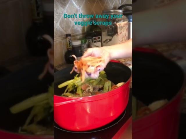 Save vegetable scraps  in the freezer to make the most nutritious and cheap bone or veggie broth