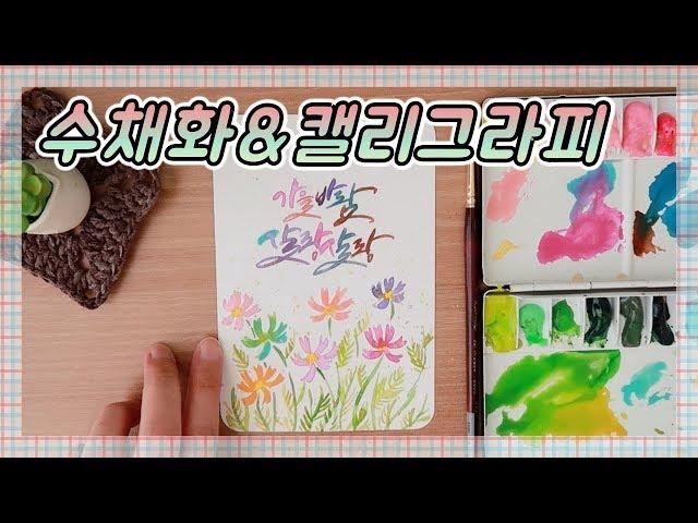 수채화&캘리그라피/코스모스/  별나라 일러스트