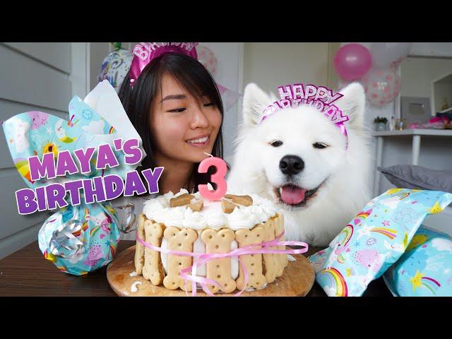 My Dog's EXCITING Third Birthday!!! [With DIY Dog Birthday Cake Recipe]