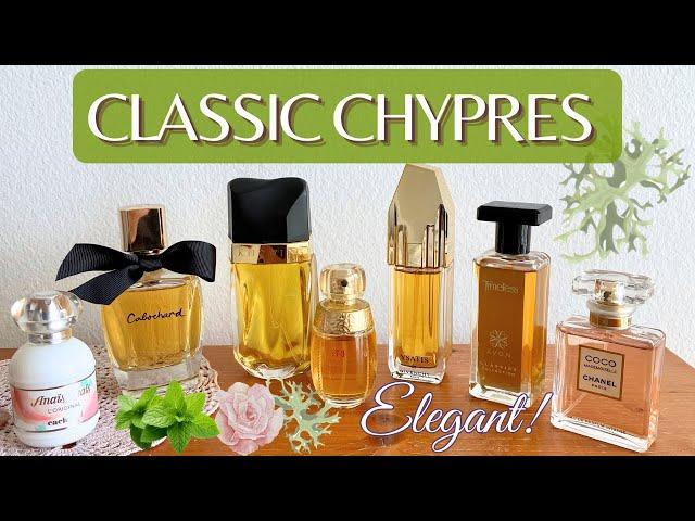 Classic and Modern Chypre Perfumes | Elegant, Sophisticated, Timeless