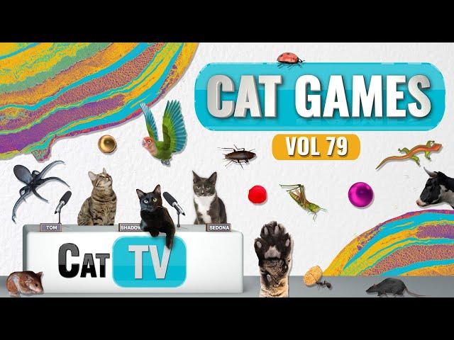 CAT Games | Ultimate Cat TV Compilation Vol 79 | 4 HOURS  