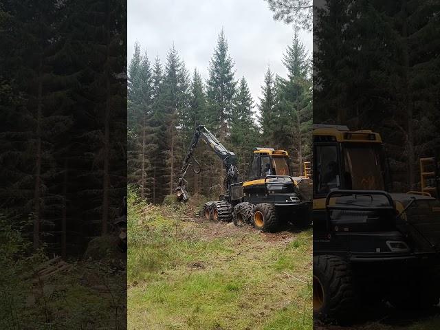 Jatkuva kasvatus, hakkuu alkoi / Continuous cover silviculture