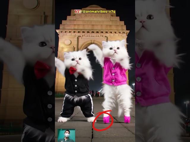 #dancingcat #aicat #tranding #animalvibes