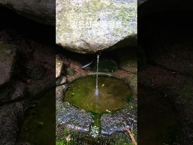 깊은산속 옹달샘 #옹달샘 #생각명료화전문가김일교수 #걷기전문가 #김일교수
