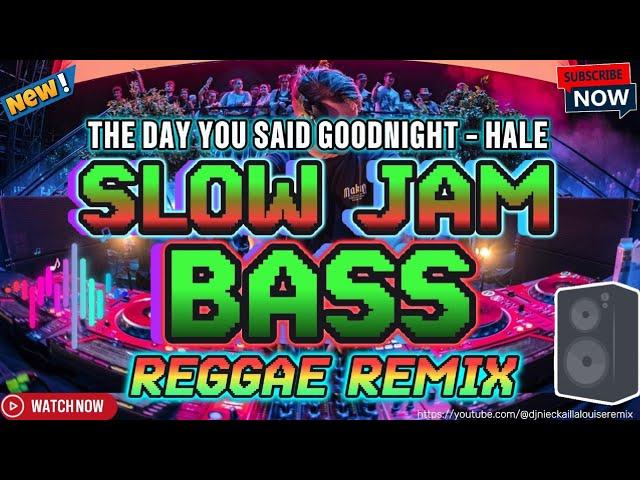  THE DAY YOU SAID GOODNIGHT - HALE (BASS REGGAE) DJ NIECKAILLA LOUISE