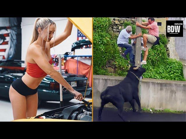 TOTAL IDIOTS AT WORK #184 | Instant Regret | Best Funny Fails Videos 2024