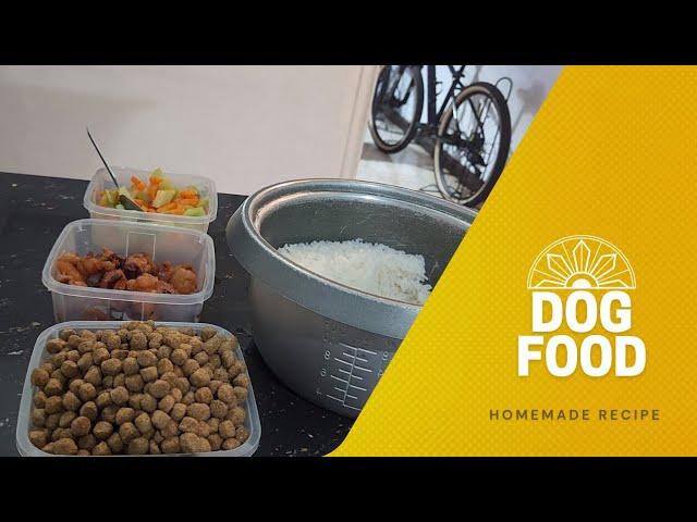 Dog Food Recipe || How to feed your dogs