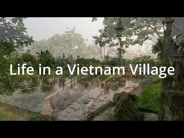 Life in a  Vietnam Village