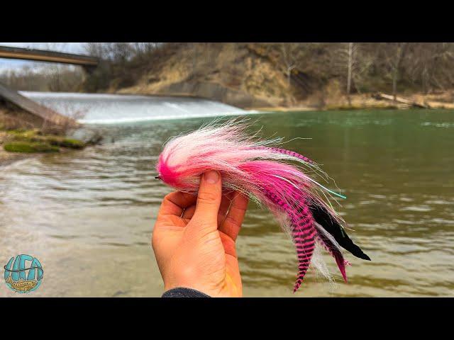 Fly Fishing for a True River Monster! (Musky Fishing)