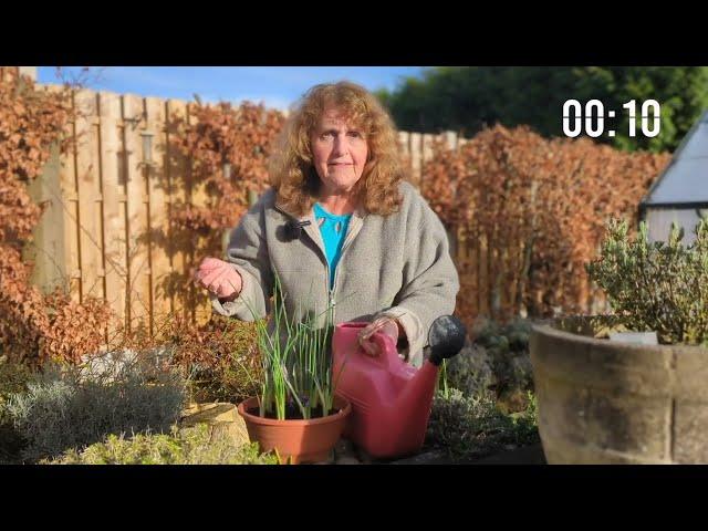 Five Essential Spring Bulb Tips in 60 Seconds