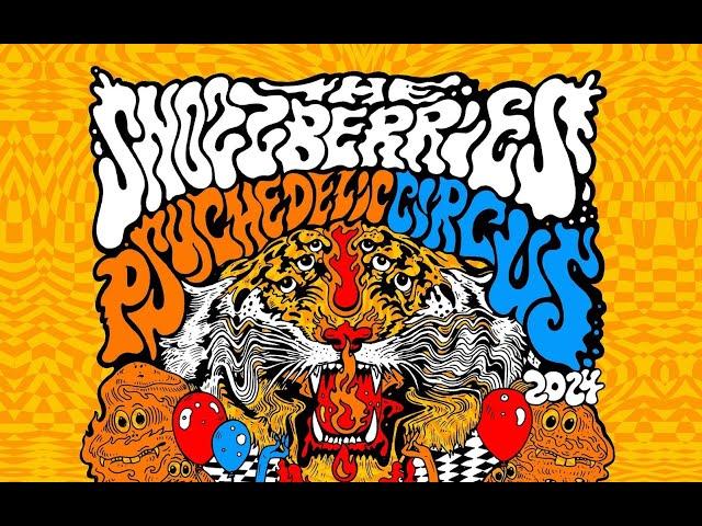 Psychedelic Circus 4 LIVE at Asheville Music Hall 11-29-24