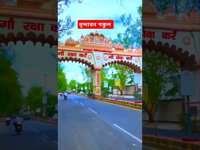 বৃন্দাবন গকুল Brindavan Gokul #shortvideo #shrikrishna