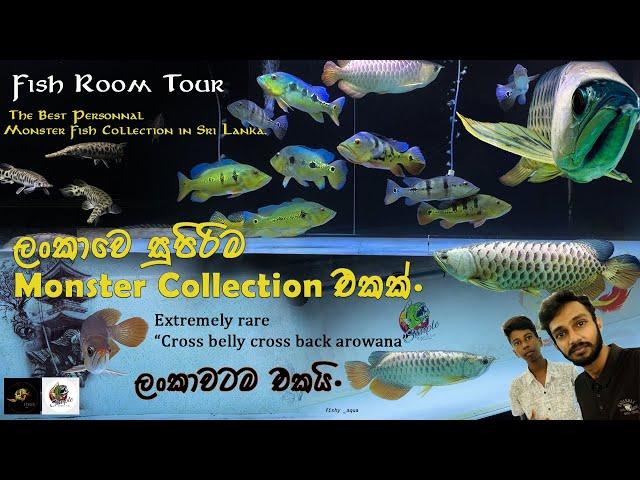 The best ever Monster Collection in Sri Lanka  | ලංකාවේ සුපිරිම Monster Collection එක ️|