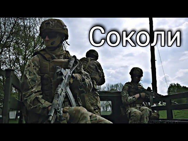 СОКОЛИ || УКРАЇНСЬКІ ХЛОПЦІ НАЙКРАЩІ