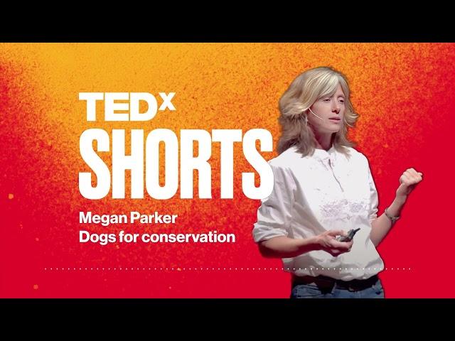 Dogs for conservation
