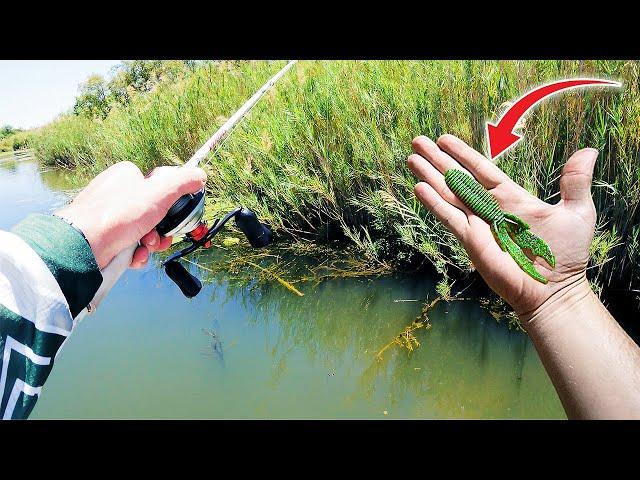 Catching Summer Bass In Reeds With Creature Baits | Flipping & Pitching