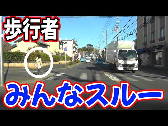 殆ど横断歩道の歩行者に気付かないよな　この子は親の躾がいいんだろうな