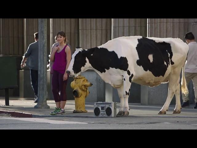 Chick-Fil-A - Stayin' Alive Commercial 2011