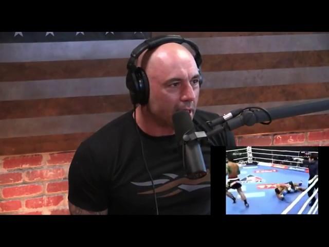 Joe Rogan on Combat Sports & Brain Damage