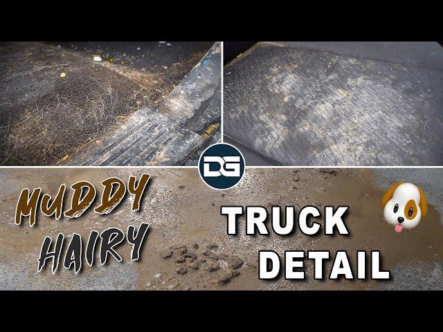 Transforming a FILTHY Work Truck! | The Detail Geek