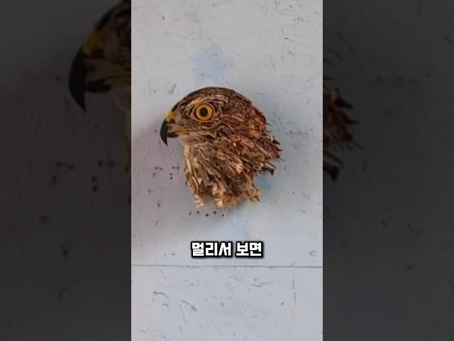 "쓰레기로 만든 예술?! 가까이 보면 깜짝 놀랄 조각상의 정체"