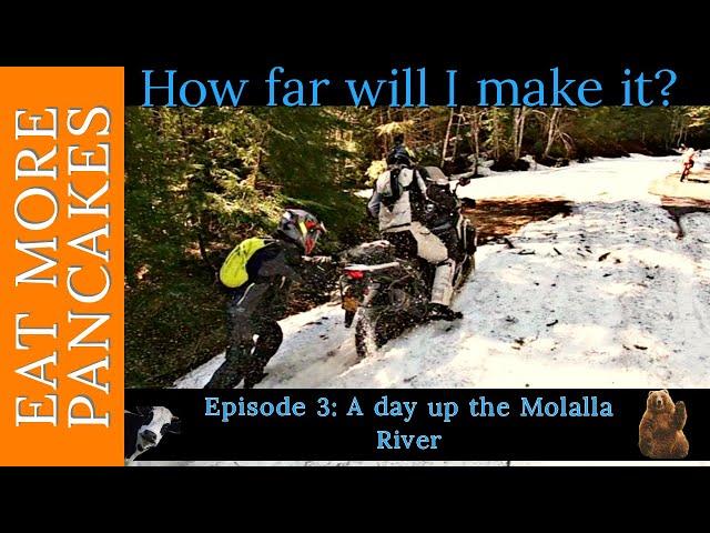 How far will I make it? Dual Sport riding up the Molalla River in Oregon on my Africa Twin