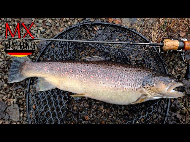 Dicke Fische gefangen, neue Wobbler getestet!/ Forellen fischen mit Kunstködern/ Trout Area /Herbst