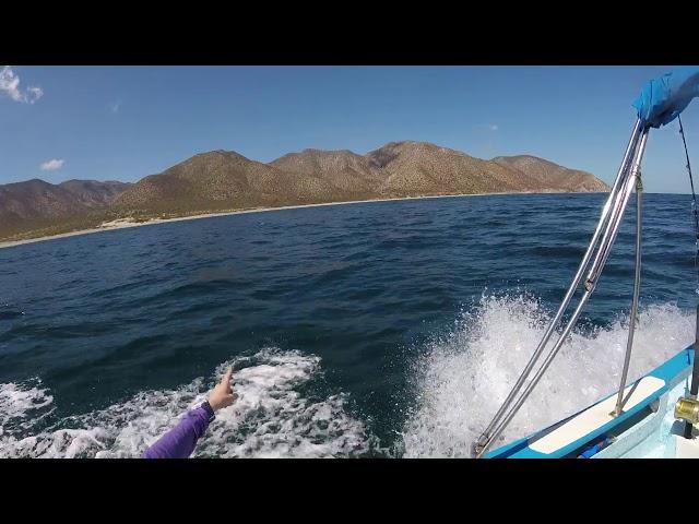 Heading out to Isla Cerralvo