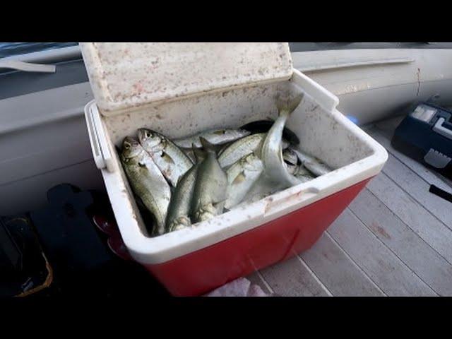 MY SECRETS! How I Catch 2X MORE Fish Alone? car camping in heavy rain.