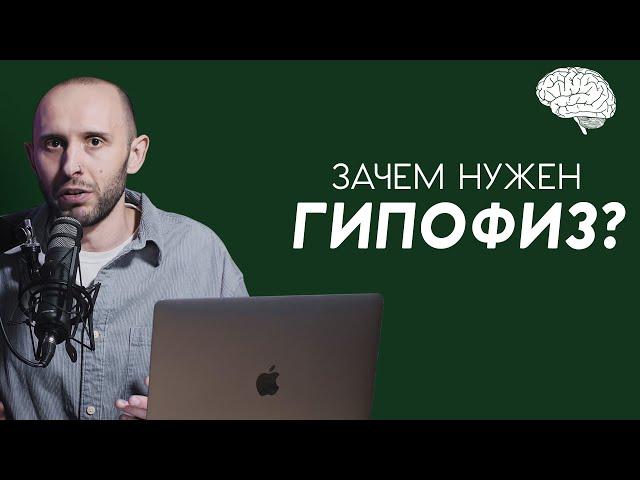 Что такое ГИПОФИЗ и где он живёт. Мозг, гормоны, щитовидка, аденома