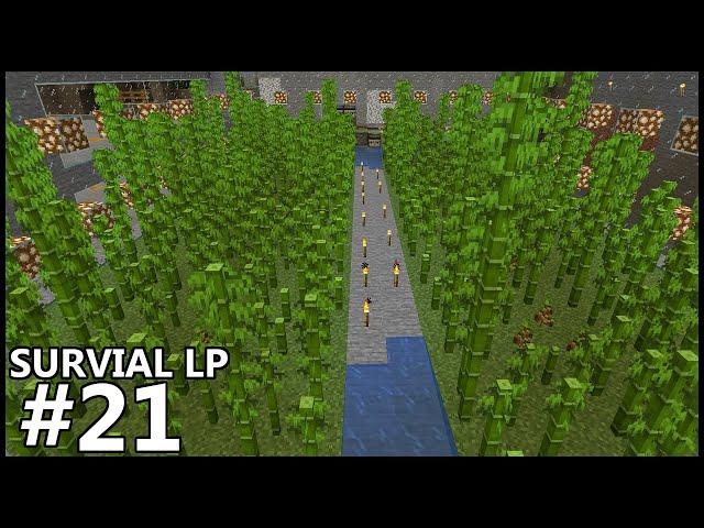 BAMBOO Farm & Super SMELTER - Minecraft Survival LP#21