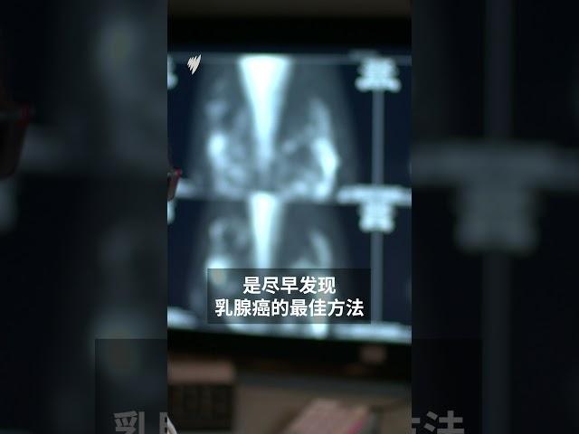 新州政府呼吁: 这个年龄段女性 应尽快进行乳腺检查  | SBS中文 #shorts