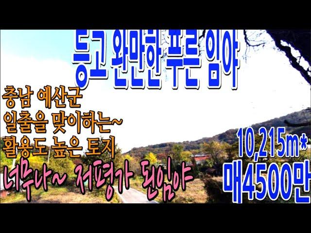 NO[160] 충남 예산군 등고 완만한 임야 10,215m*(3.091평) 매4500만