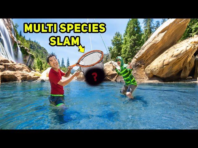 Fishing ULTRA CLEAR Mountain RIVER for MULTI SPECIES!