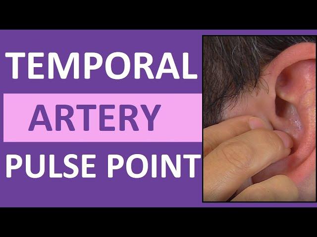 Temporal Pulse Point Palpation, Location, and Nursing Assessment