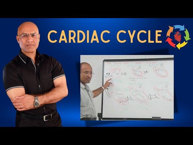 Cardiac Cycle | Cardiovascular | Cardiology