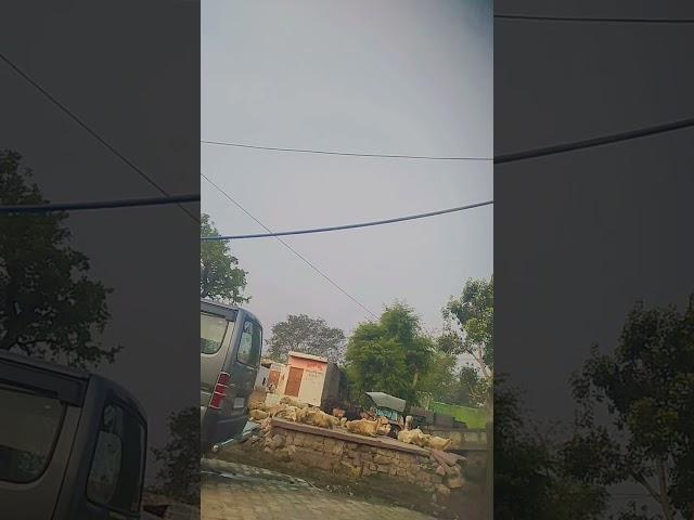 hamara gaon mahalpur kachi