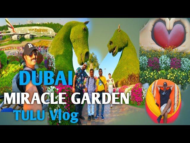 DUBAI MIRACLE GARDEN TULU VLOG | Dubai world Record Garden |  Dubai Travel Guid Tulu Vlog | dubai