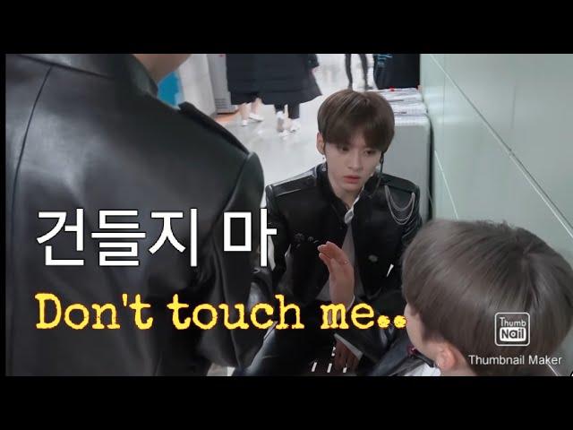 lee know battling everyone in stray kids (don't you dare to touch him) part 2 (리노는 야만적이다 2)