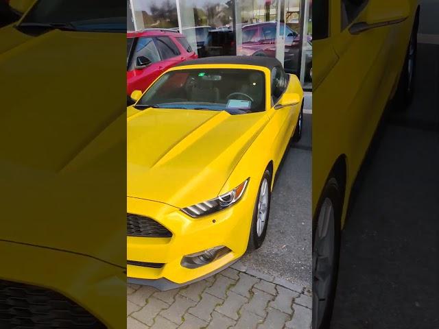 Ford Mustang neamule  de toate modelili ptr toate buzunarele  de evețian  cum ar veni 