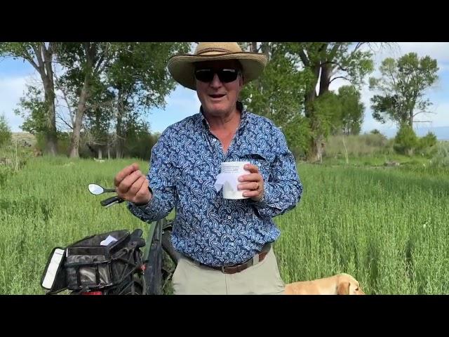 Controlling Russian Knapweed with Gall Wasps--Gary Hubbell, ALC, Colorado Ranch Broker.