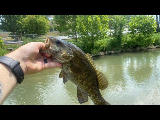 Fishing The Home Town Clinch River!!!