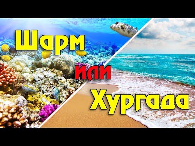 Хургада или Шарм-эль-Шейх: где лучше? Самое полное сравнение главных курортов Египта