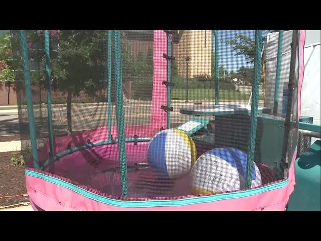 NBC15's Brian Doogs in dunk tank